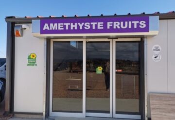 Améthyste-fruits