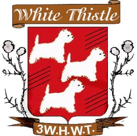Of White Thistle
