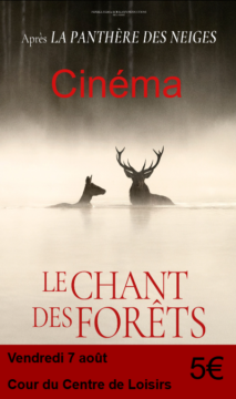 📽 CINÉMA D’ÉTÉ 🎞